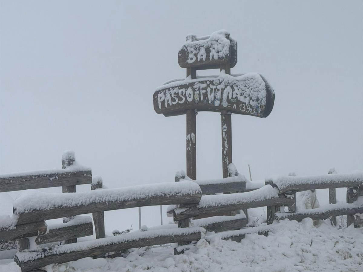 Neve in Lessinia a passo Fittanze (Erbezzo) - 24 gennaio 2026