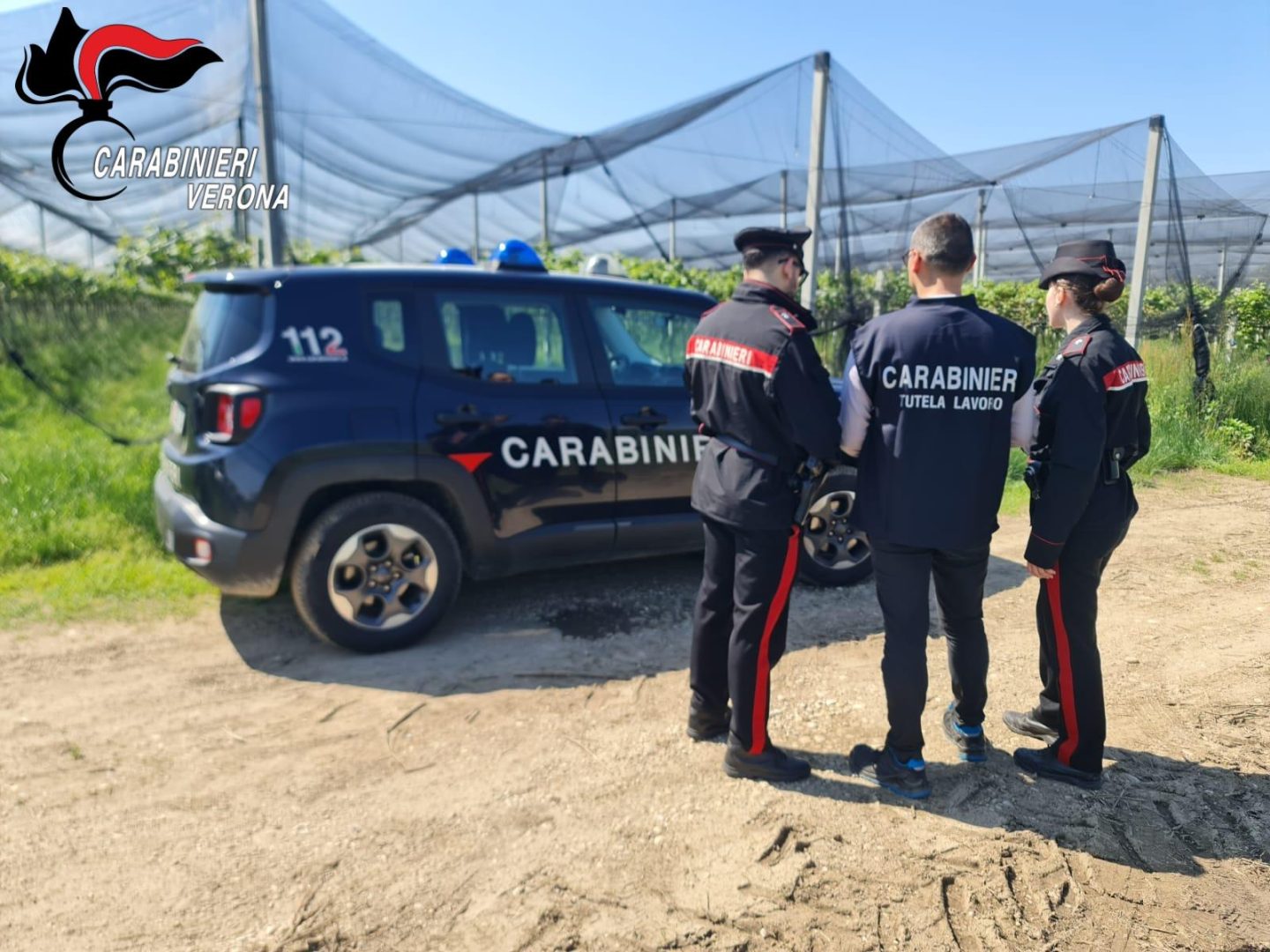 Carabinieri campi veronesi