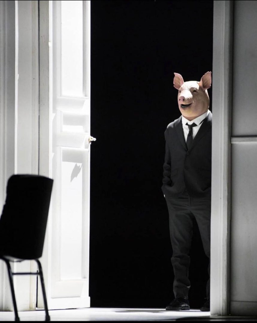 Il medico dei Maiali