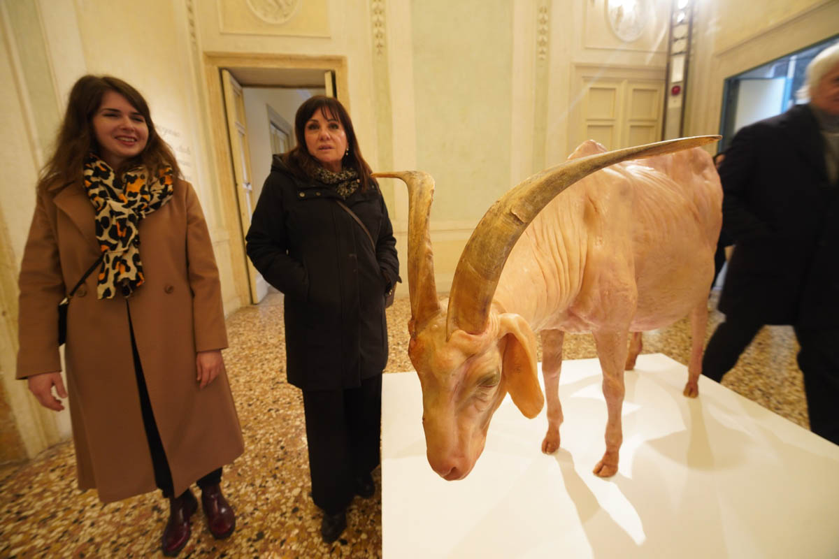 Ápeiron - Senza confinI Palazzo Forti