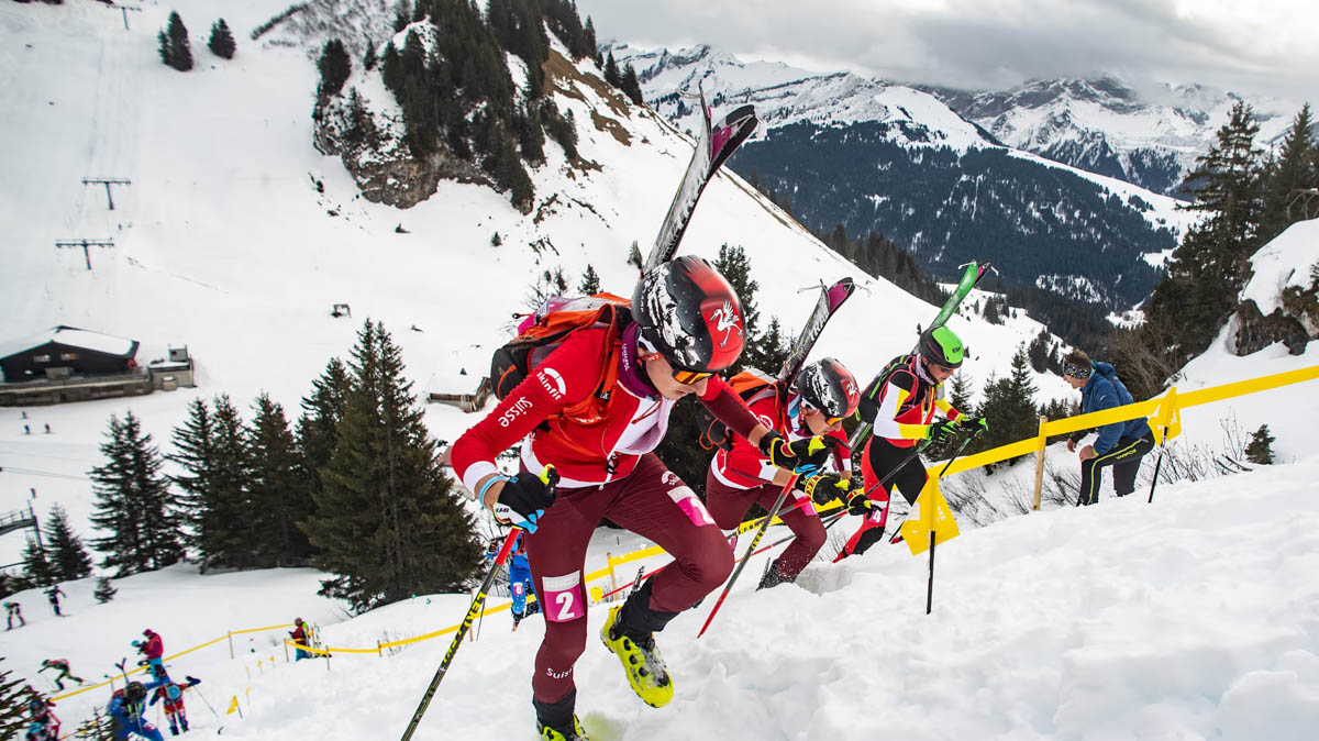 Sci alpinismo Milano Cortina 2026