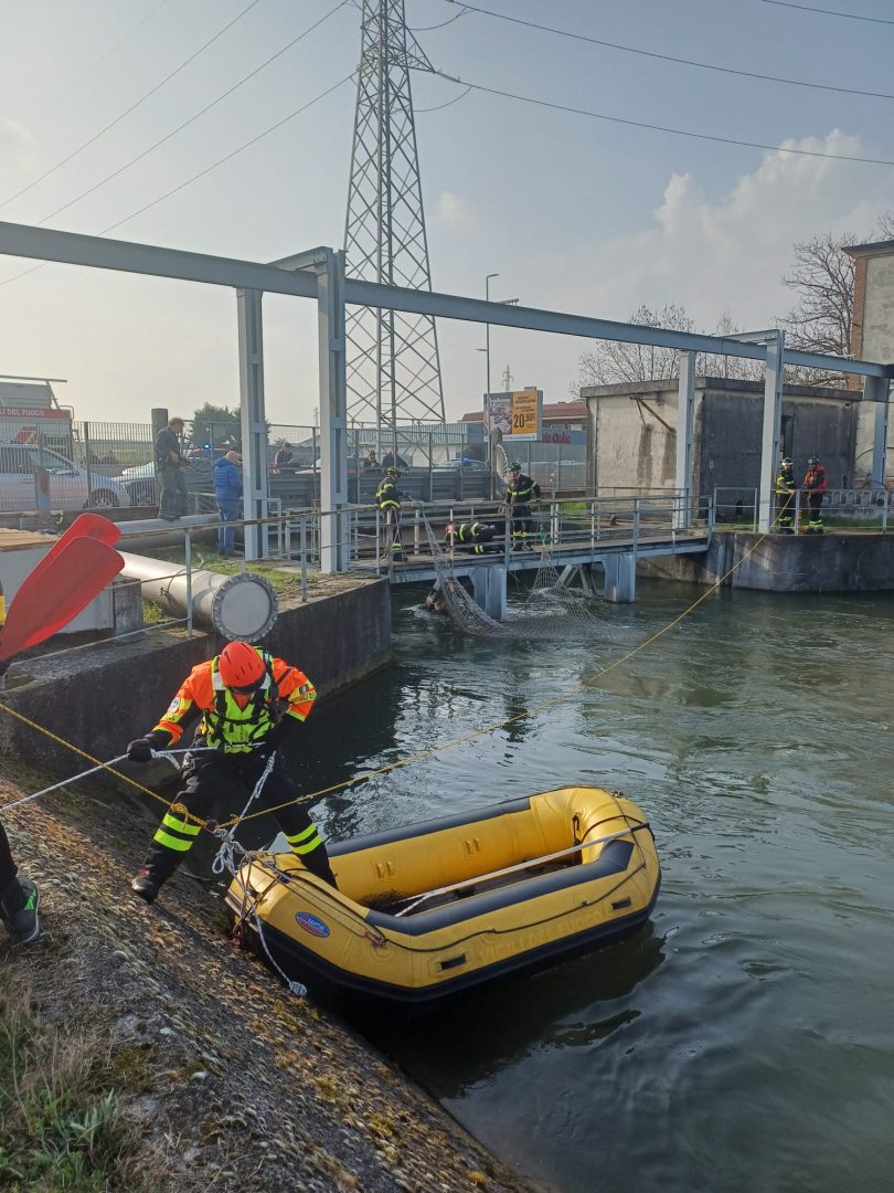 Lupo incastrato a San Giovanni Lupatoto