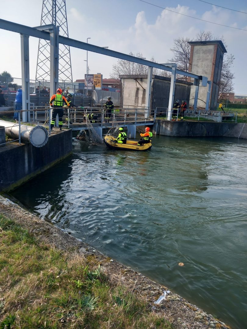 Lupo incastrato a San Giovanni Lupatoto
